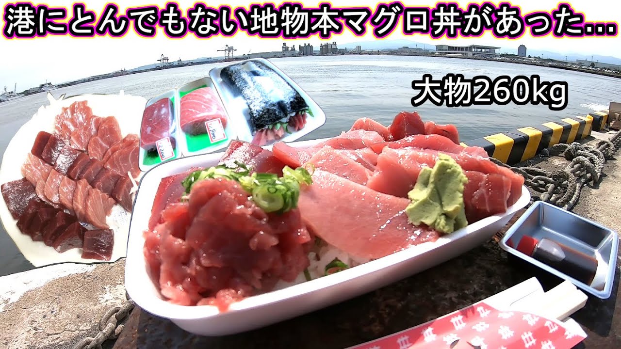 金沢回転寿司🍣孤独のグルメ旅行 地元民が教える‼地物石川県能登産本マグロ 金沢港いきいき魚市 上島商店 トミックに捧ぐ 海鮮丼 本鮪 赤身 大トロ クルーズターミナル ライブカメラ 立ち食い鮨 優勝