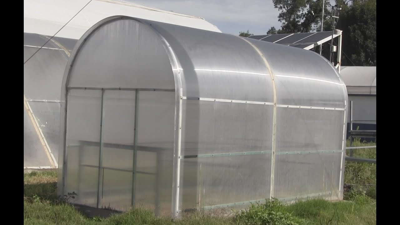 Crean Secador Solar que permite la conservación de alimentos