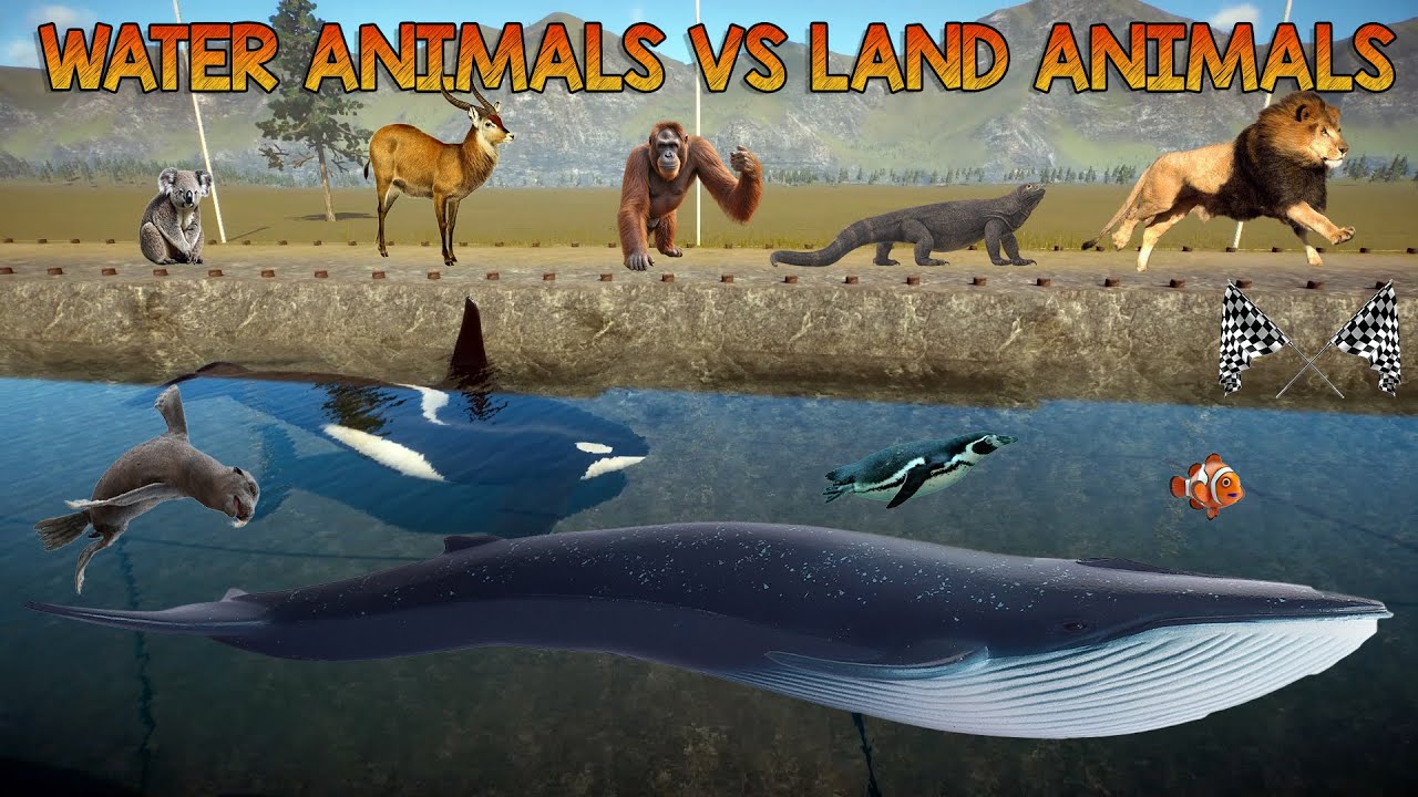 Water Animals VS Land Animal Race in Planet Zoo included Elephant, Dolphin, Whale, Fish & Crocodile