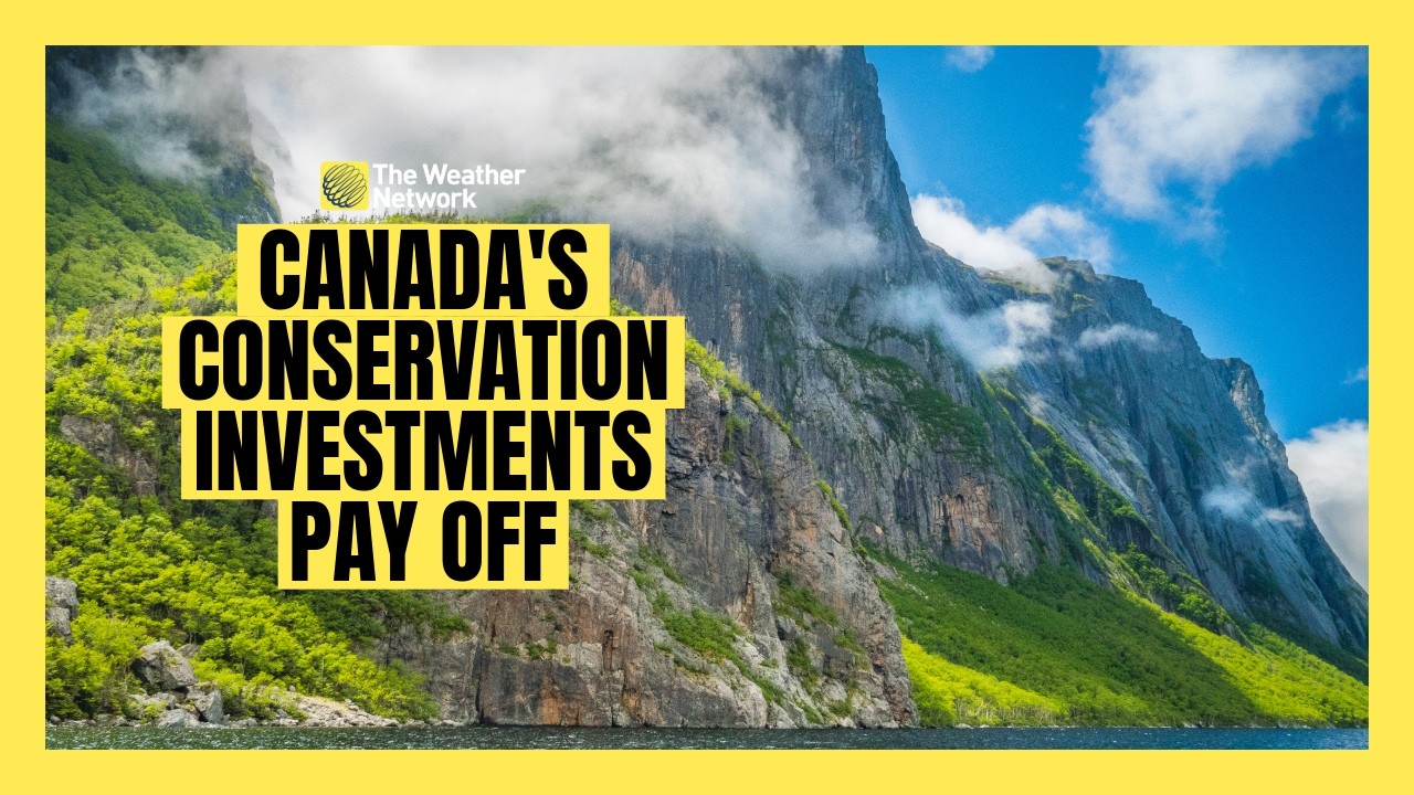 Conservation Investment: Protected Areas Contribute Billions to Canada's GDP