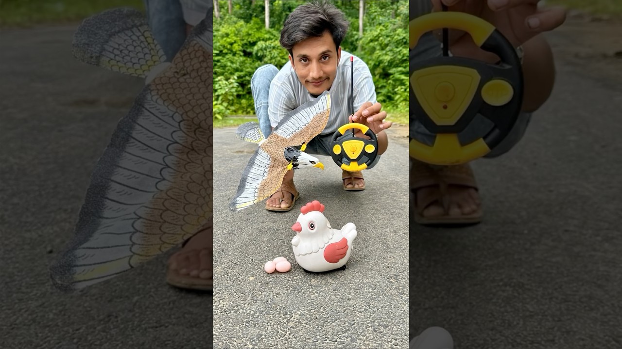 AMR RC birds 🦅and Egg wala Murgi 🐓￼ki unboxing 🤑