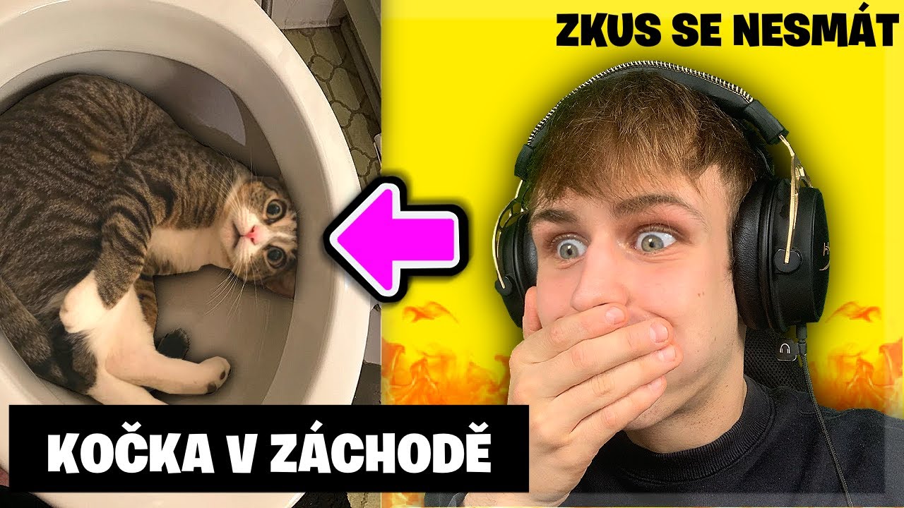 Zkus Se Nesmát: LEGRAČNÍ ZVÍŘÁTKA (Nejde To!)