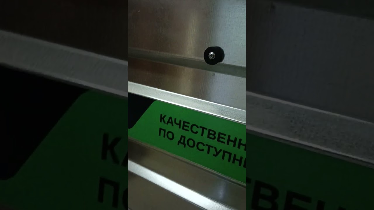 Липецкий прицеп 26 октября 2023 г.