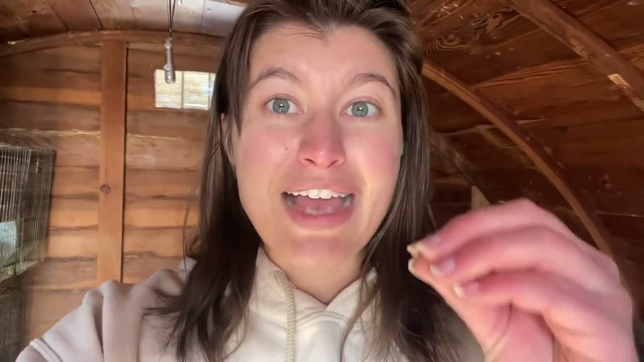 How to Get Better Grow Rates in Your Meat Rabbits