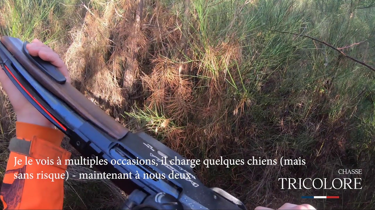 VLOG 11 - « On en prend plein les yeux et les oreilles »