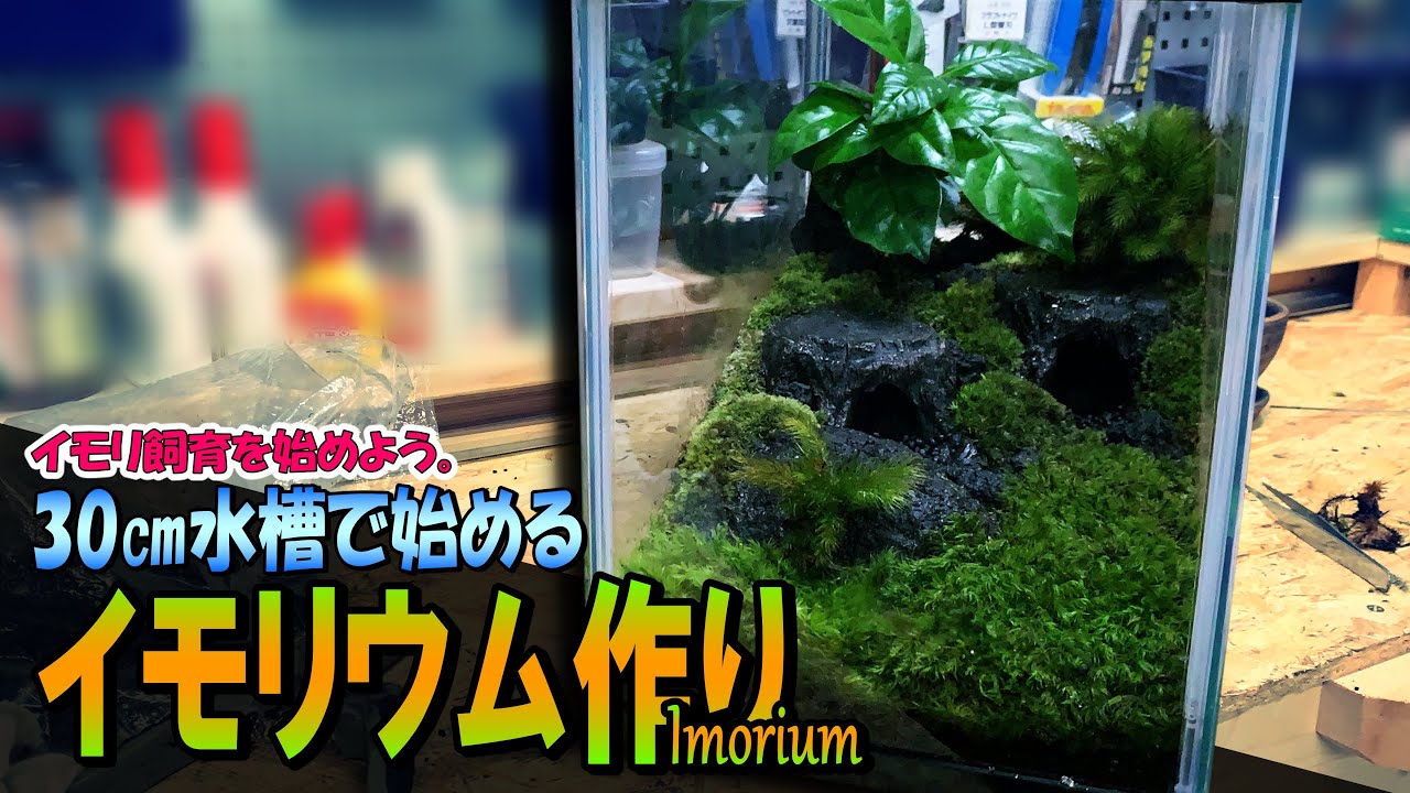 【DIY】980円の30㎝水槽でも楽しめる！「イモリウム」