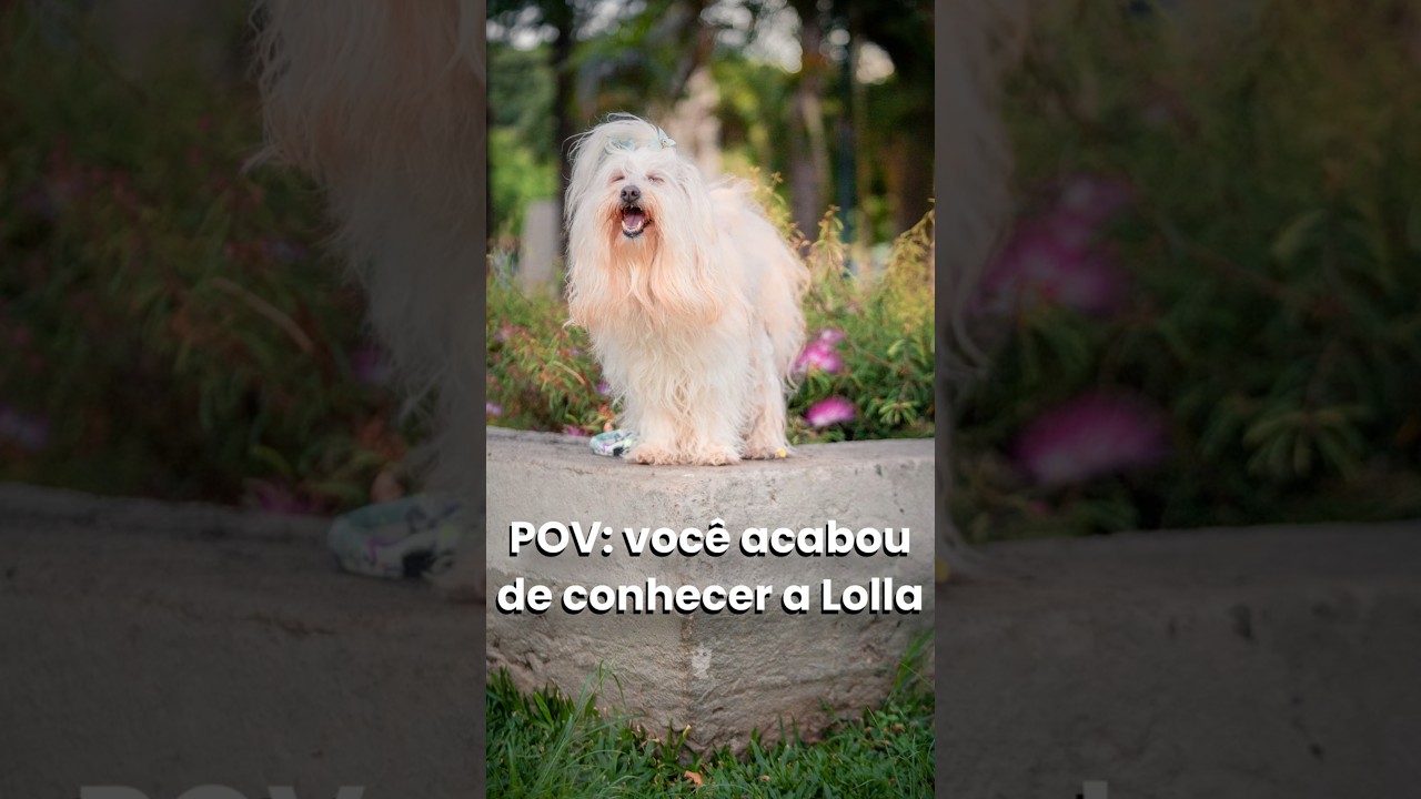 Fotografando PETs no Parque Barigui 