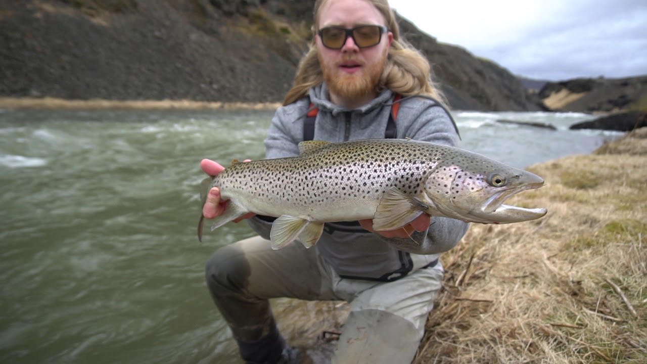 Villimenn - Leirvogsá Vorveiði 2019