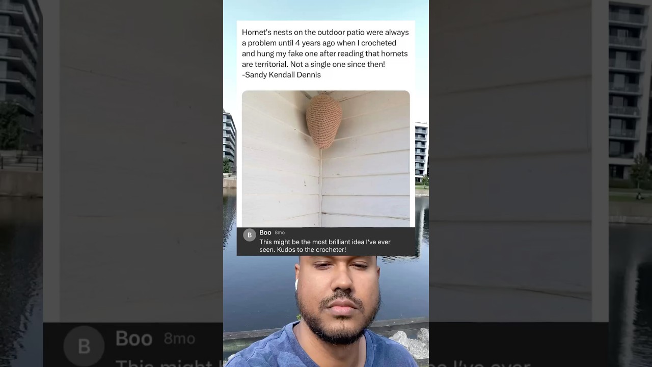 Hornet’s nest on the outdoor patio were always a problem until 4 years ago when I crocheted
