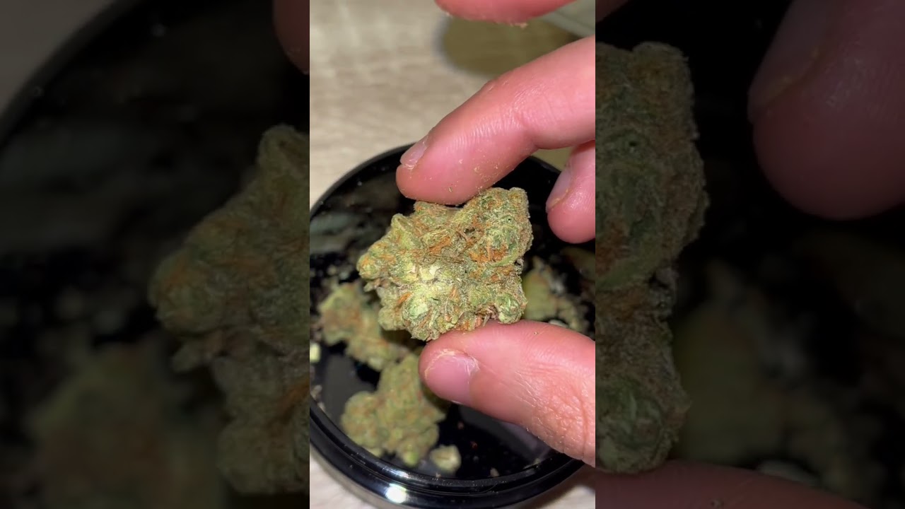 Columbia Care &ldquo;Spirit Quest&rdquo; Flower - Hybrid #ColumbiaCare #SpiritQuest #like #WeedTube