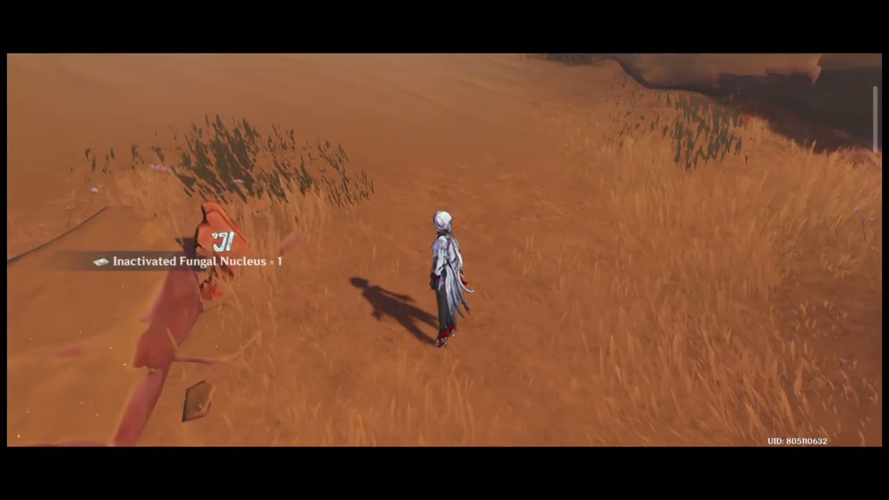 Genshin Impact, Fake Mushrooms Nooo !