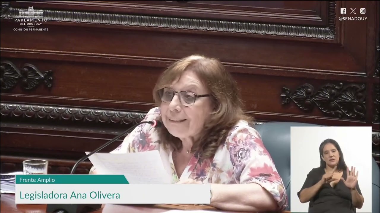 Patente y multas: Ana Olivera pide campañas para informar el rol del SUCIVE