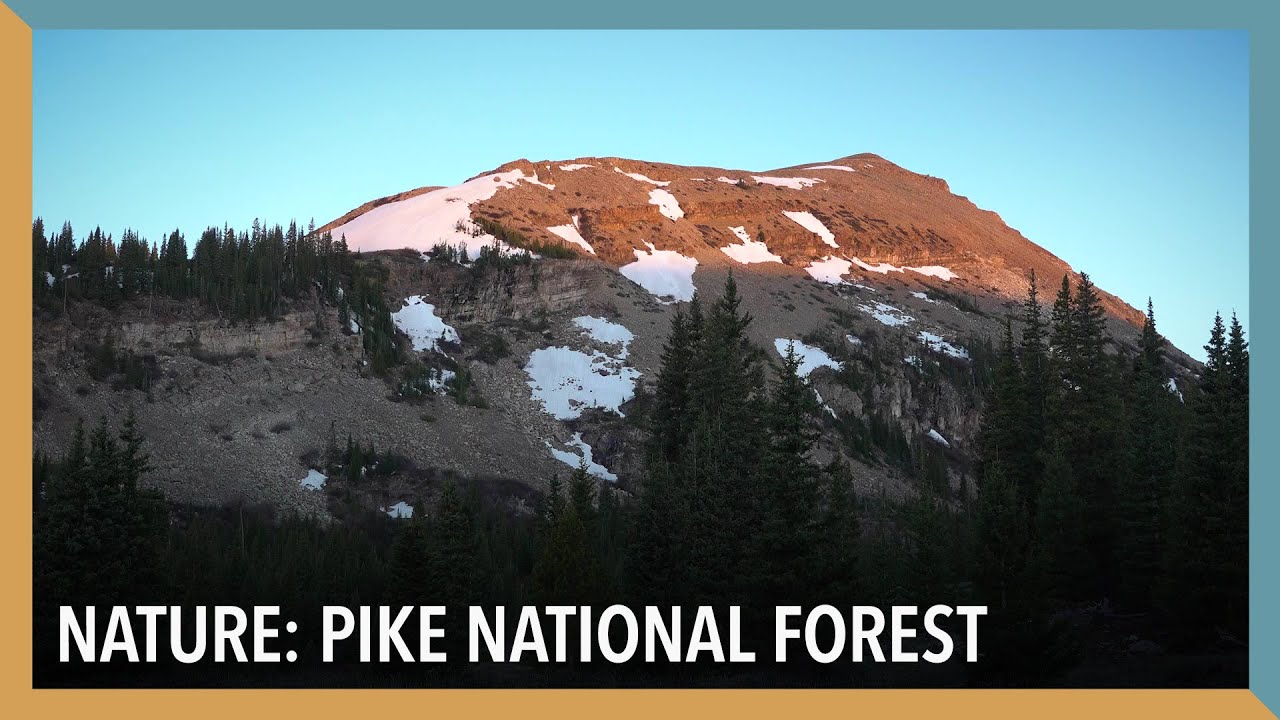 Nature: Pike National Forest | VOA Connect