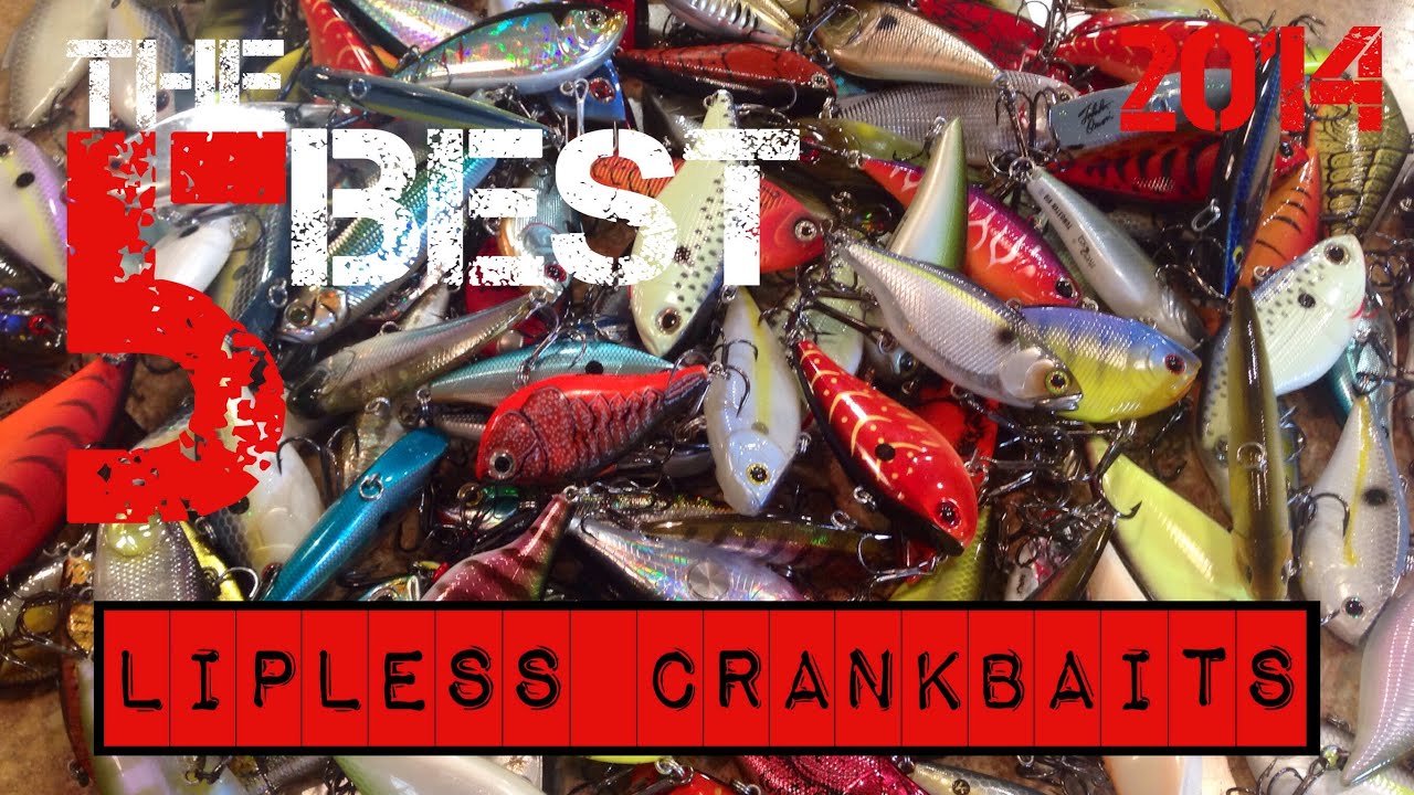The 5 Best Lipless Crankbaits (2014)