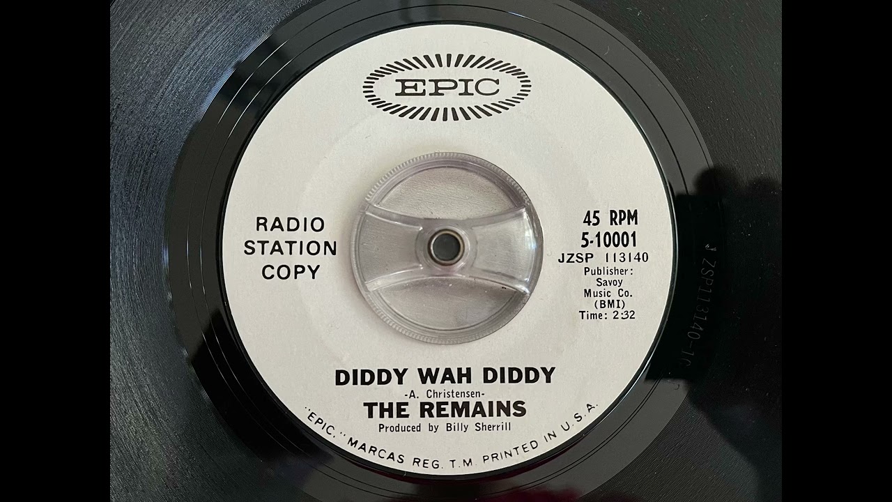 The Remains - Diddy wah diddy (60’S GARAGE ROCK)