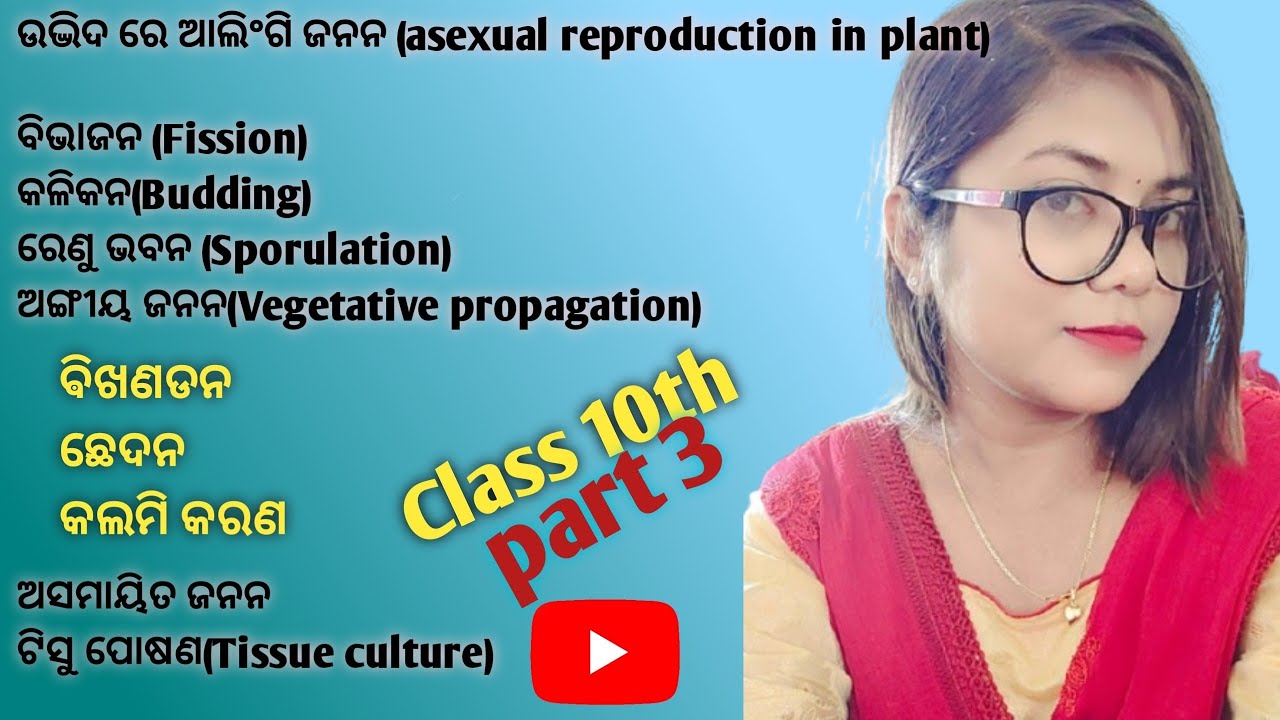 Asexual reproduction in plant (ଉଦ୍ଭିଦ ରେ ଅଲିଂଗି ଜନନ) in odia, Class 10th,part 3 