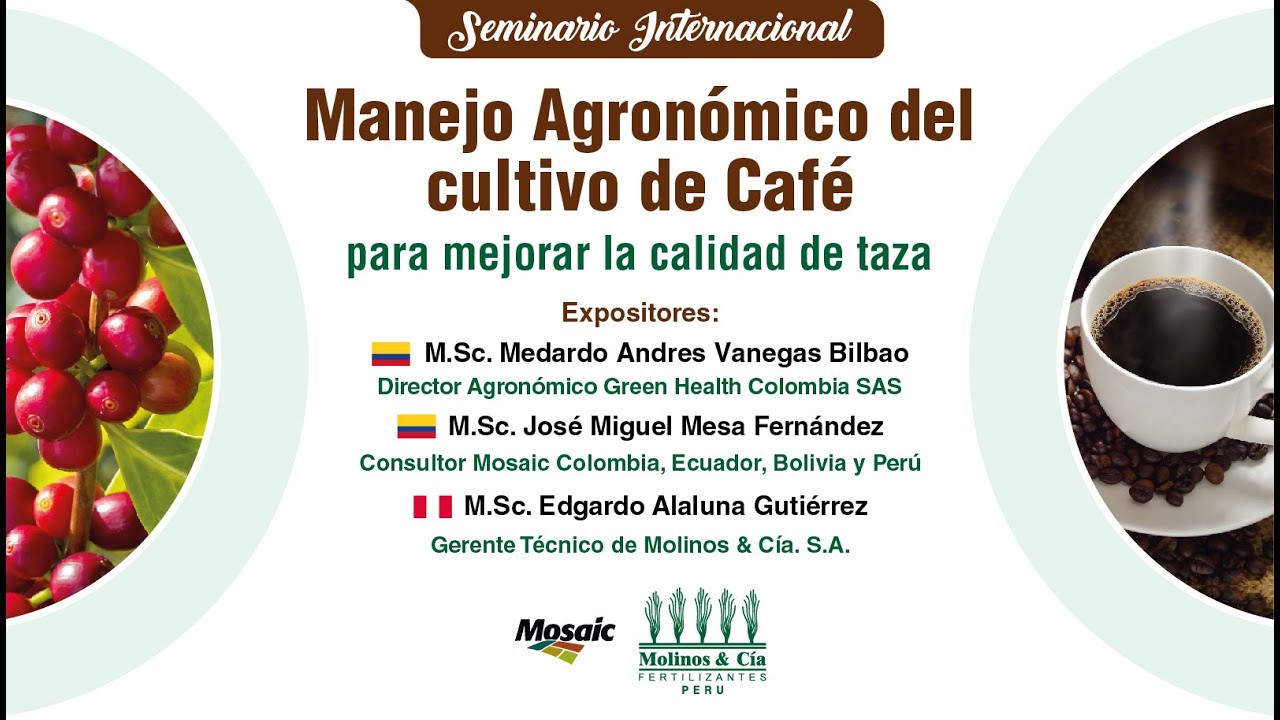Manejo Agronómico del cultivo de Café, para mejorar la calidad de taza