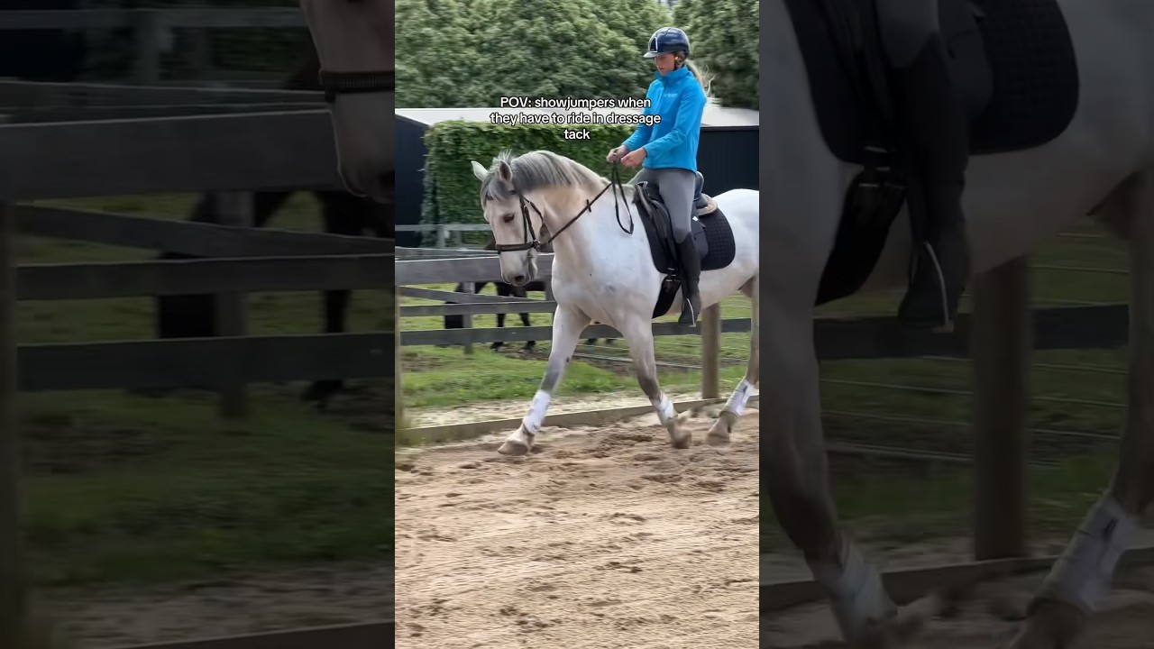 POV: showjumpers when they have to ride in dressage tack 