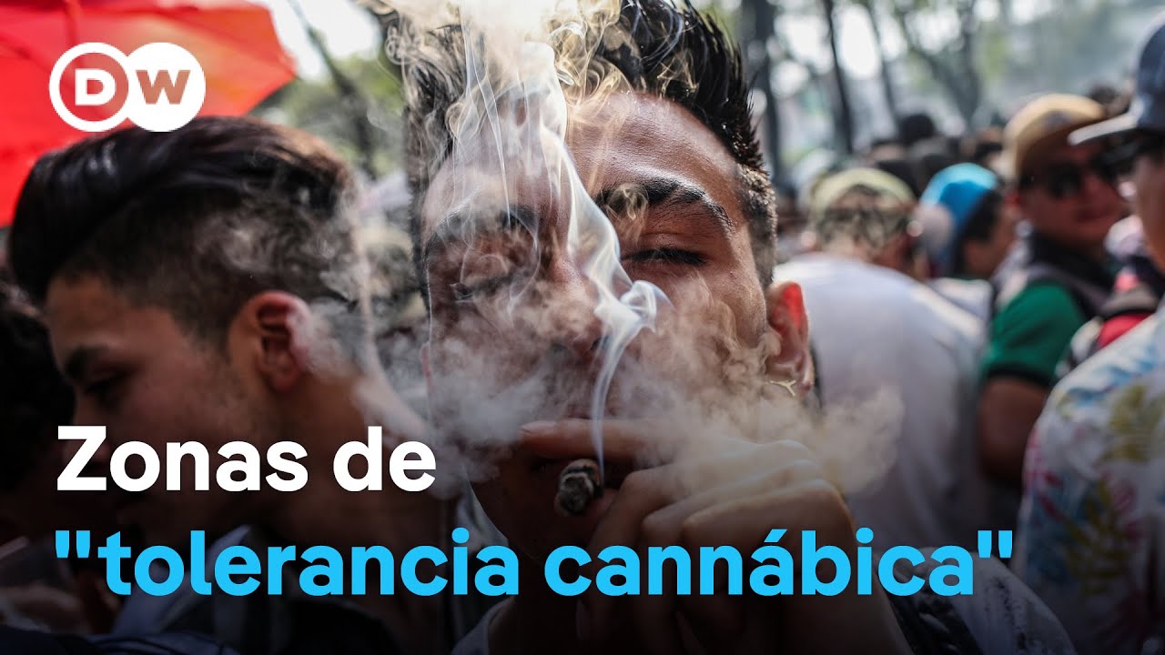 Ciudad de M&eacute;xico habilita &aacute;reas para fumar cannabis de forma segura