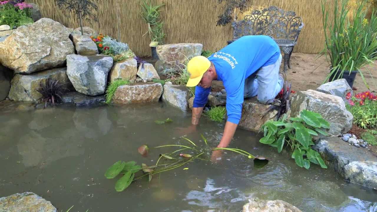 How to build a Fish Pond - Part 21 | Pond Plants & Waterfall - Final