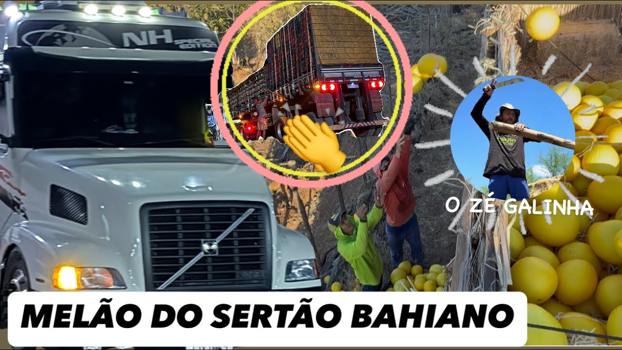 NO JUAZEIRO DA BAHIA FOI O CARREGAMENTO DO MELÃO