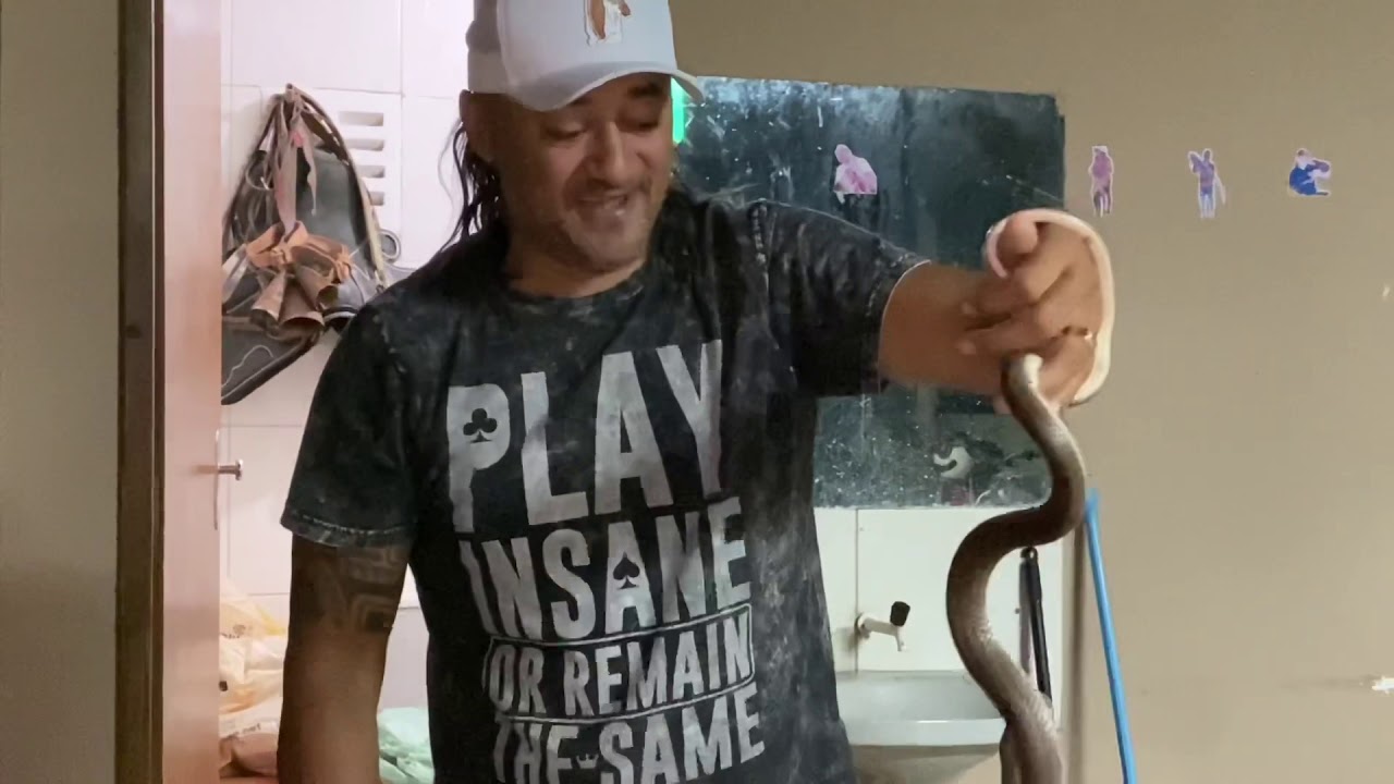 CASAL DE COBRAS EXPULSA TIRINGA E TÕE DE CASA😂 | COMÉDIA SELVAGEM ®