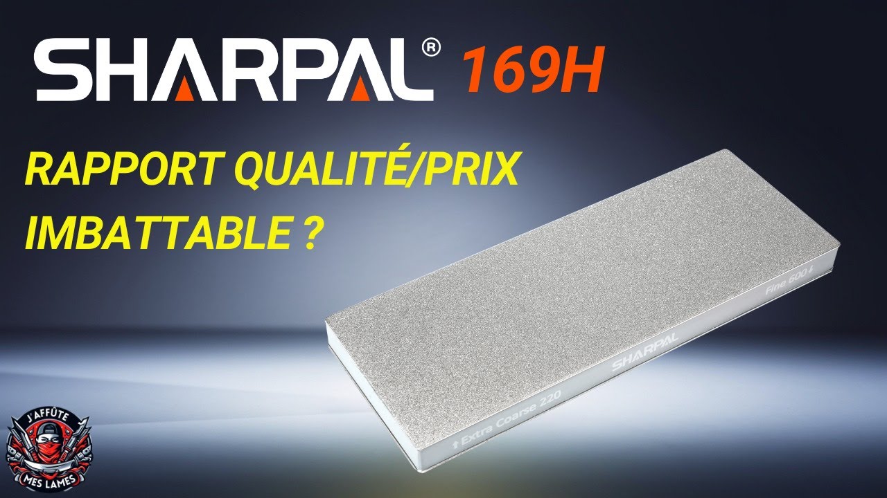 Pierre d’affûtage diamantée Sharpal 169H : le meilleur rapport qualité prix ?