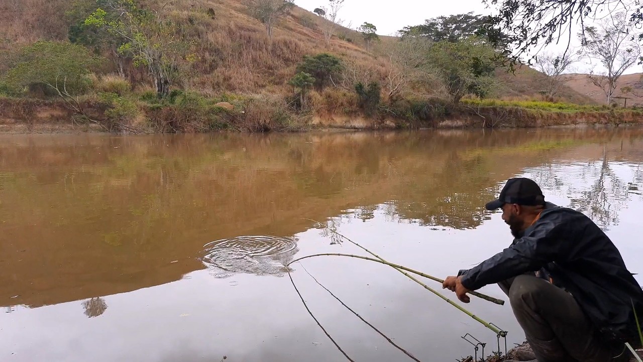 Curimba na vara de bambu &eacute; mais emo&ccedil;&atilde;o, pescaria caipira