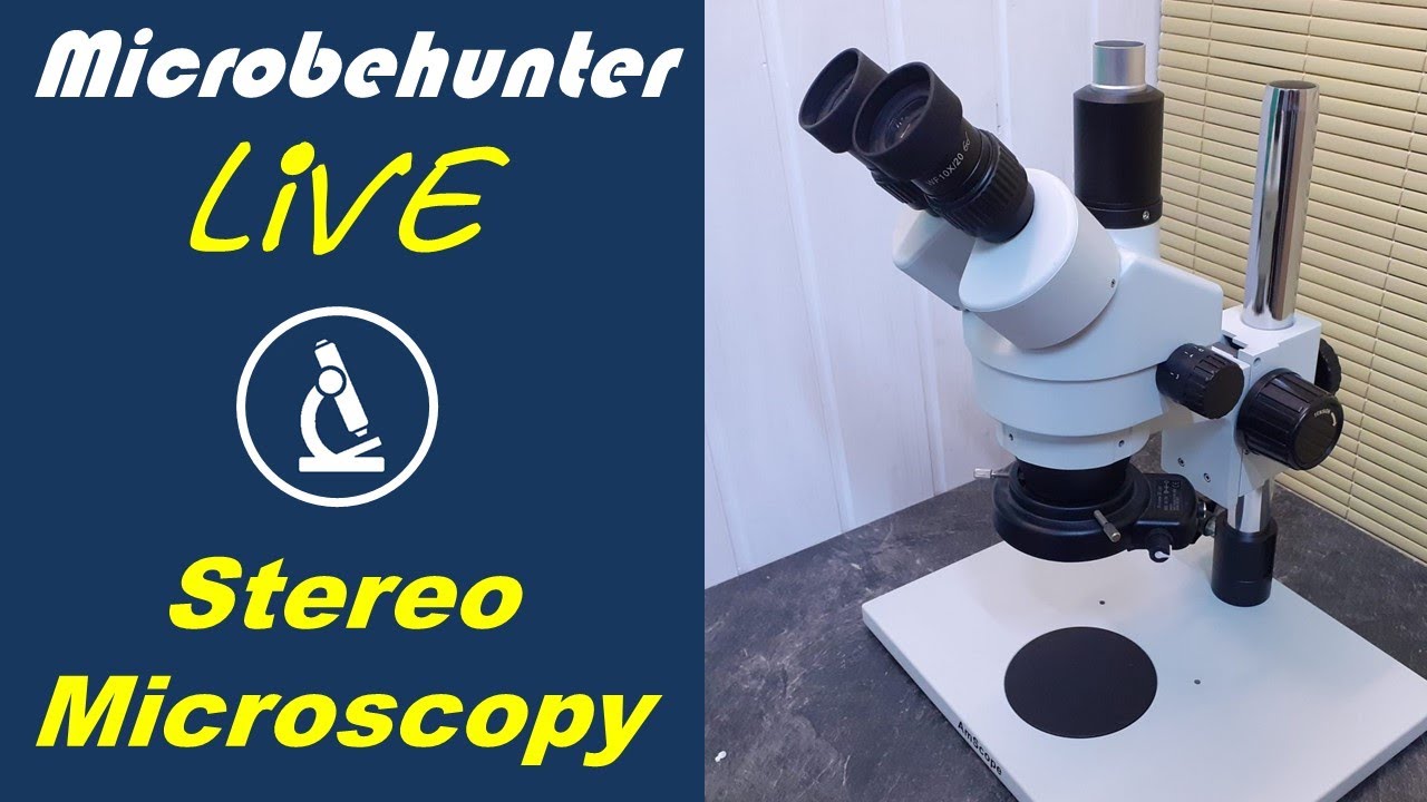Stereo Microscopy