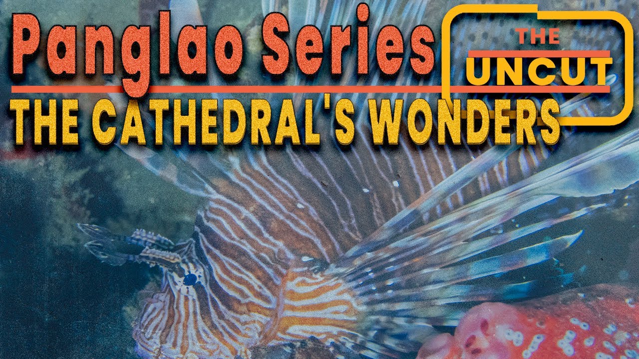 65 Min UNCUT Dive: Exploring Balicasag's CATHEDRAL Wall | Panglao, Philippines Scuba