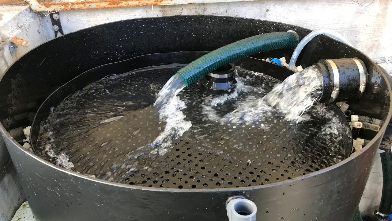 Filteranlage an Koiteich Umbau 2019