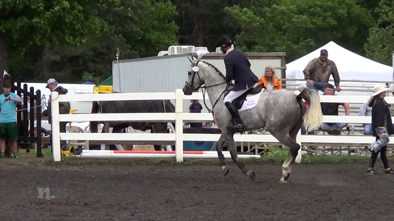 Mike Huber & Romeo Alfa R Holly Hill Horse Trials April 2017