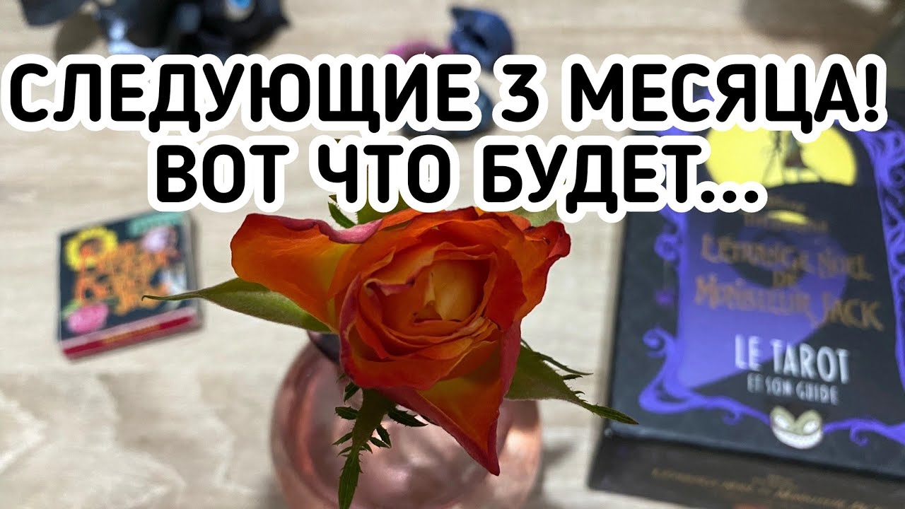 СЛЕДУЮЩИЕ 3 МЕСЯЦА! Что вас ждёт? 200% гадание на таро Расклад онлайн Trend YouTube 2024