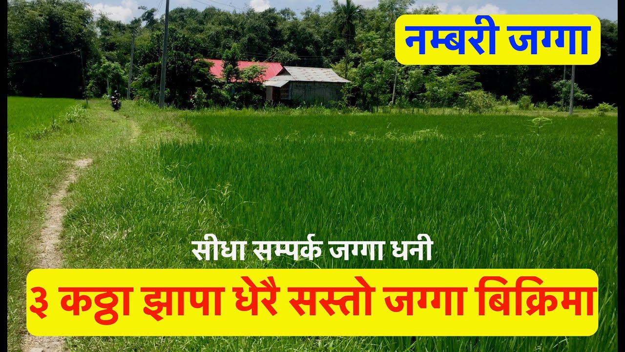 3 Lakh | Jhapa Ghar Jagga | beautiful Land for sale at Jhapa #sastojagga
