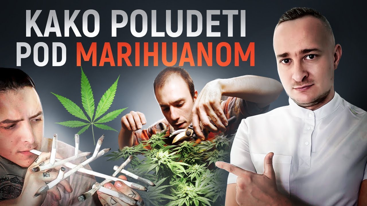 DA LI JE MARIHUANA PRVI KORAK KA ZAVISNOSTI OD DROGE? POSLEDICE KONZUMACIJE
