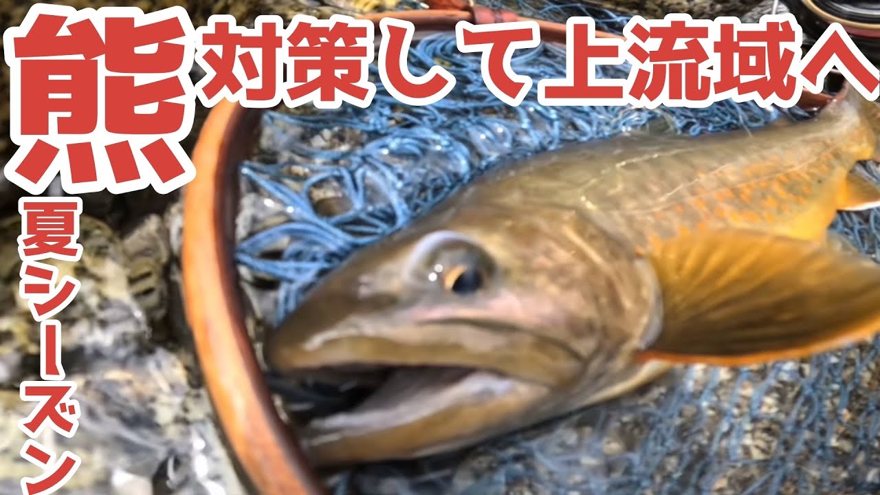 熊出没危険、、標高1,900mの上流域へ行ってみた!!待っていたのは、、楽園か!?【渓流ルアー】#渓流ルアー  #渓流釣り