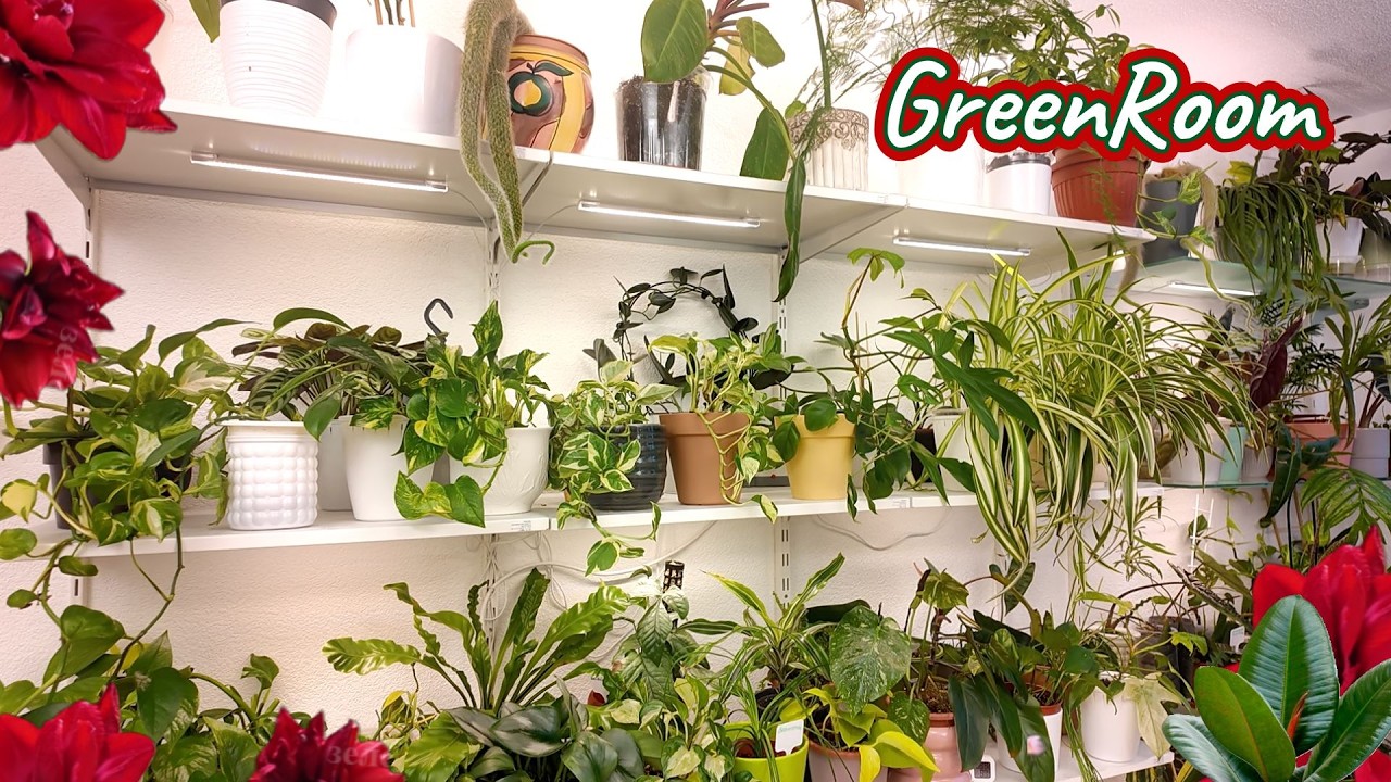 Зеленая комната: Полное преображение! 🌿 Магия света и тропический рай дома.