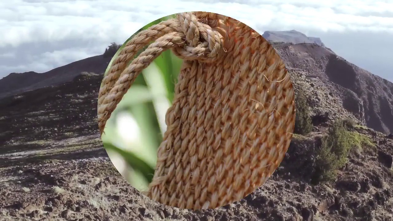 Fibras naturales