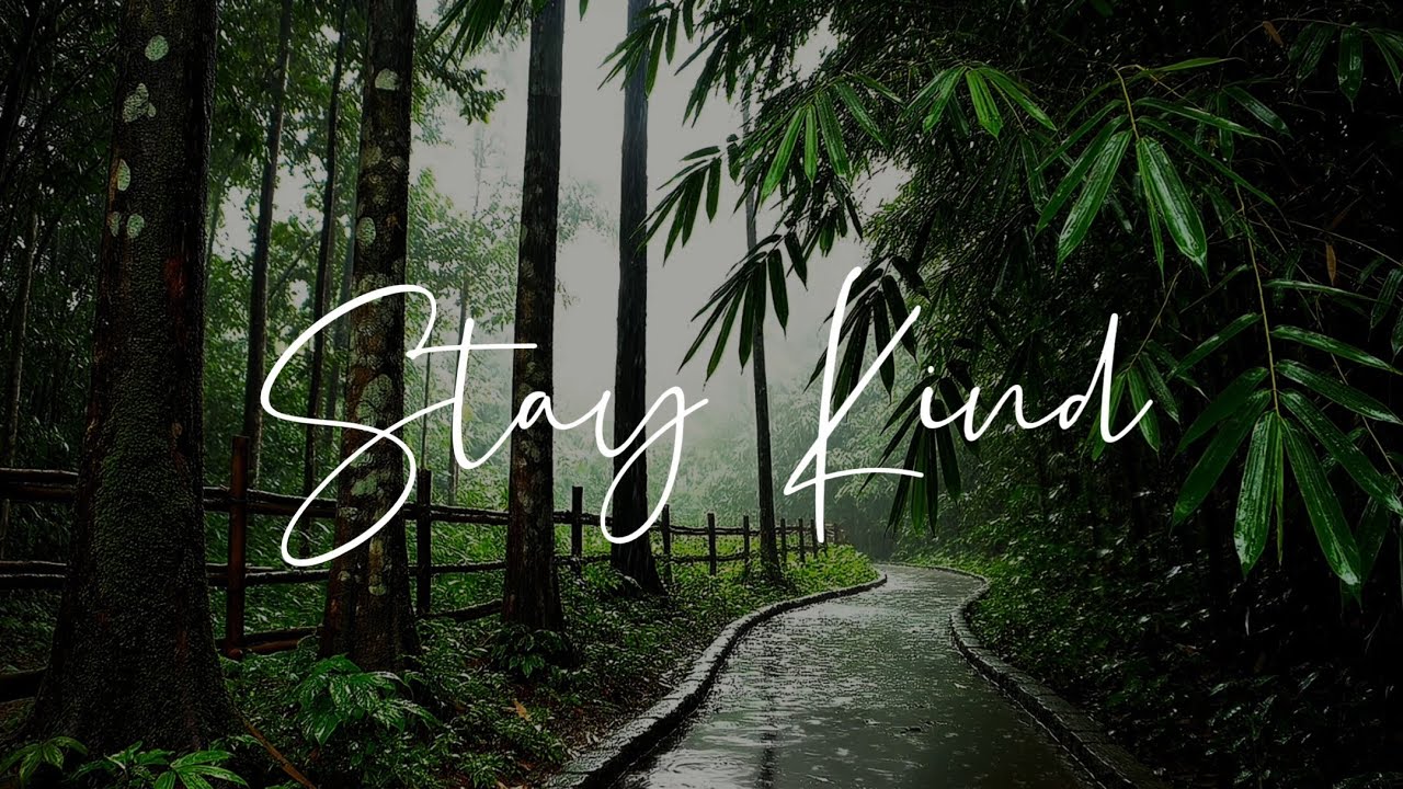 Gentle Forest Rain Ambience on a Quiet Misty Path | 3 Hours Deep Sleep Ambience and Relaxing Focus