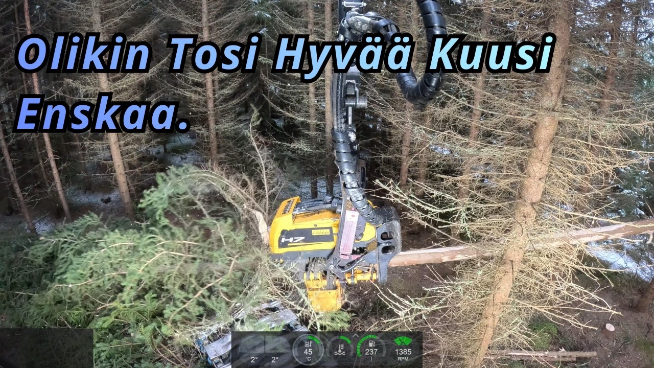 Kuusikko Ensiharvennusta Vielä Vähän Ja Lumet On Jo Melkein Sulanut. Ponsse Scorpion K AC New H7 -25