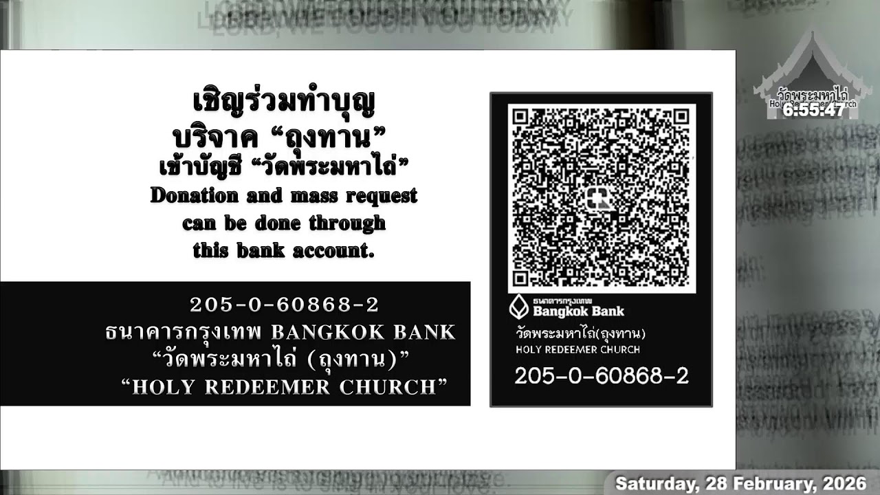 Live - Mass & Liturgy