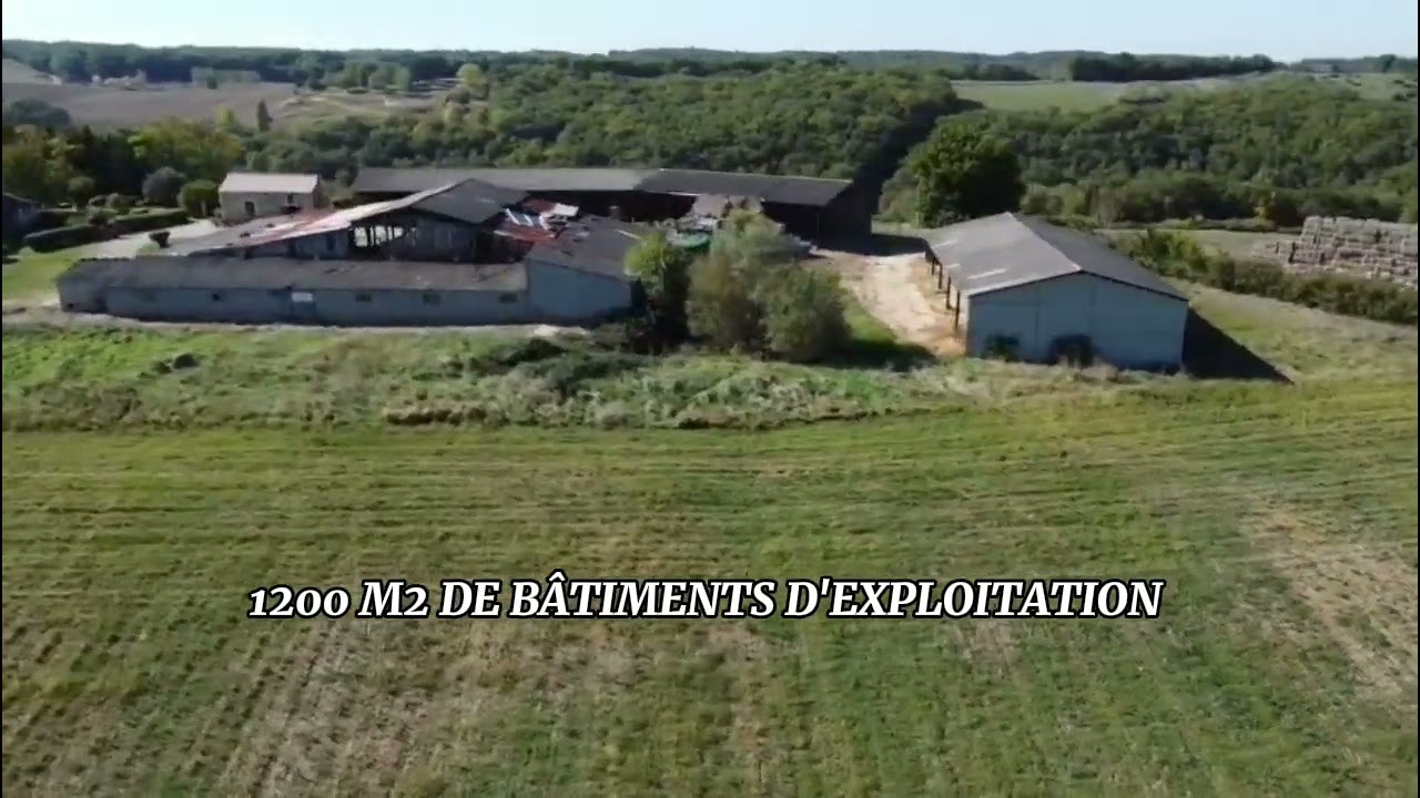 Propriété agricole 94 ha - Sainte colombe en brulhois / Montagnac / Moncaut (47)