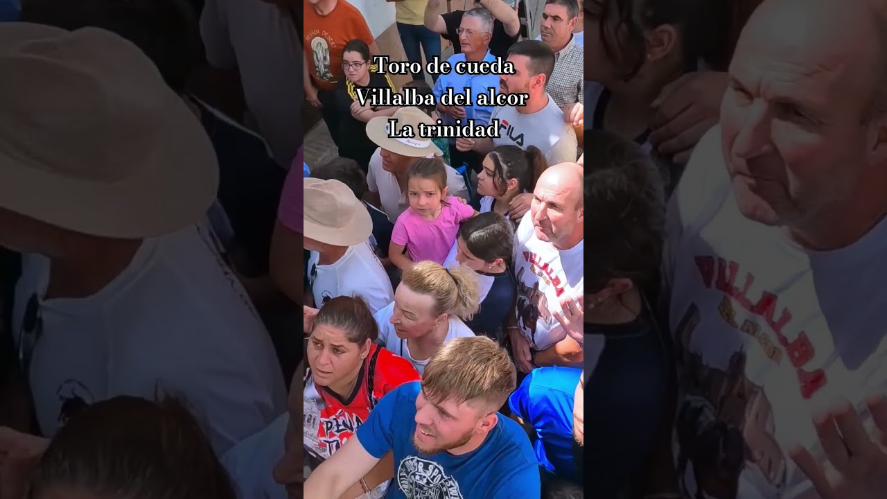 Toro de cuerda Villalba del alcor la trinidad 2024