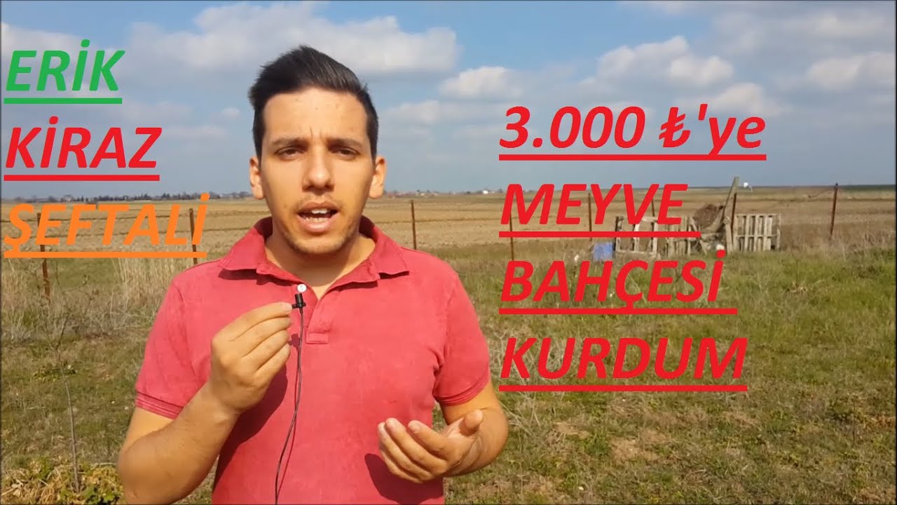 3.000 LİRAYA MEYVE BAHÇESİ KURDUM NE KADAR KAZANIRIM? 100 AGAÇ: KİRAZ, ERİK, ŞEFTALİ..