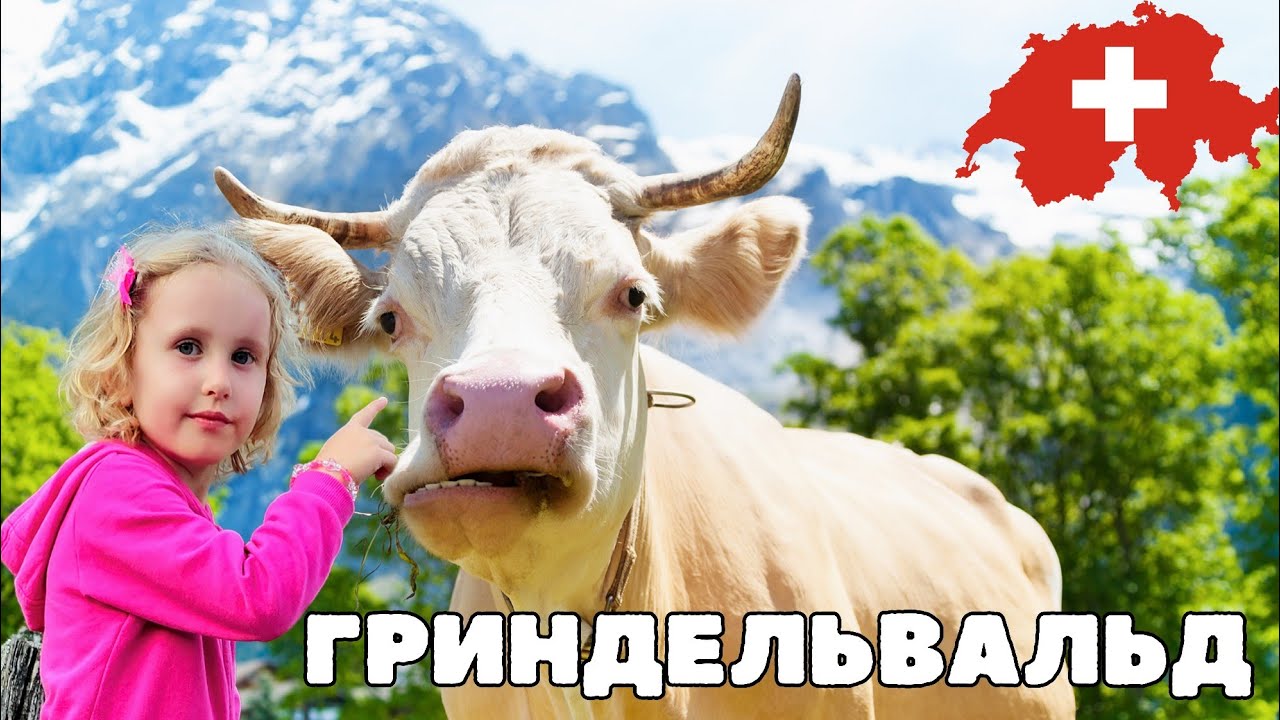 Гриндельвальд- Швейцария. Интересные места и Летающие коровы в Альпах
