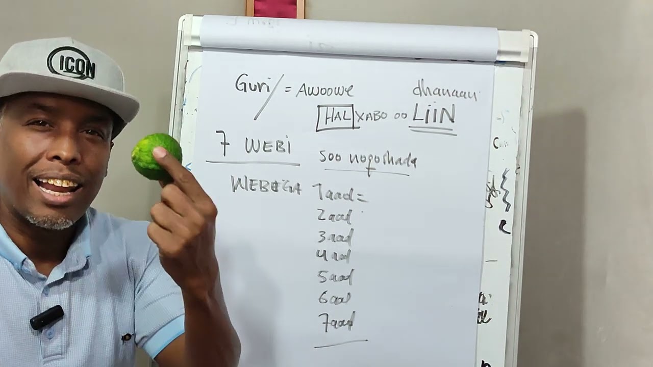 Waa Hal-xiraale Xisaab ah oo maskaxda kuu furfuraya... ma isku dayi kartaa?