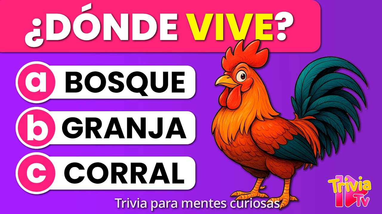 ¿Puedes responder estas 100 preguntas de primaria? 🧠