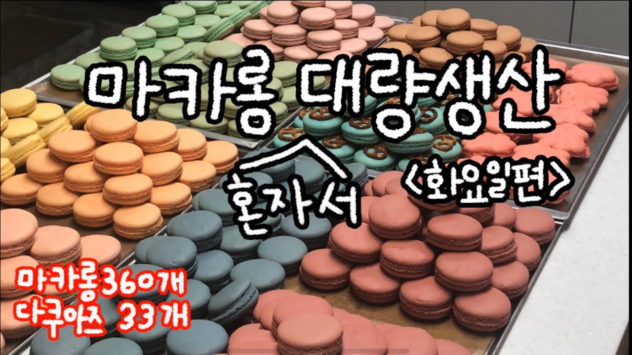 [후추언니네] 마카롱 사장님 화요일 브이로그, 혼자서 마카롱 대량생산하기