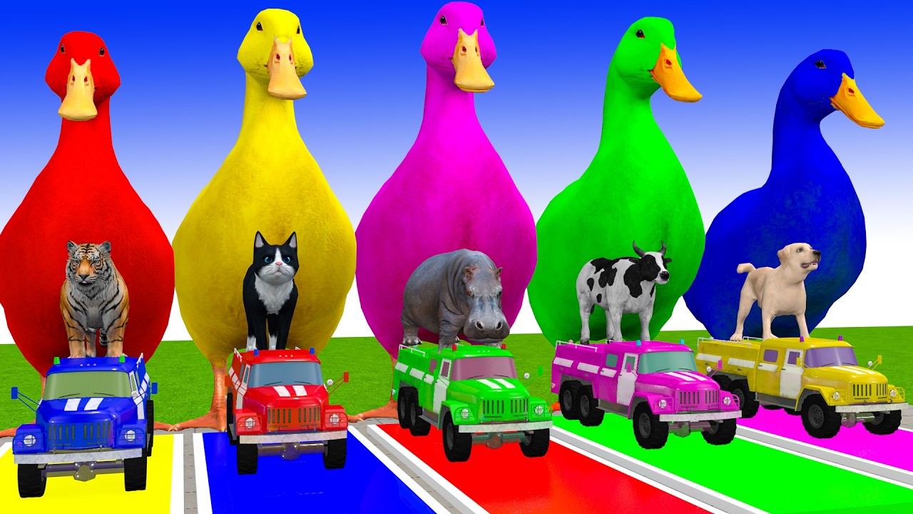 Long Slide Game With Cow Elephant Gorilla Hippopotamus Tiger 3d Animal Game Funny 3d Animals