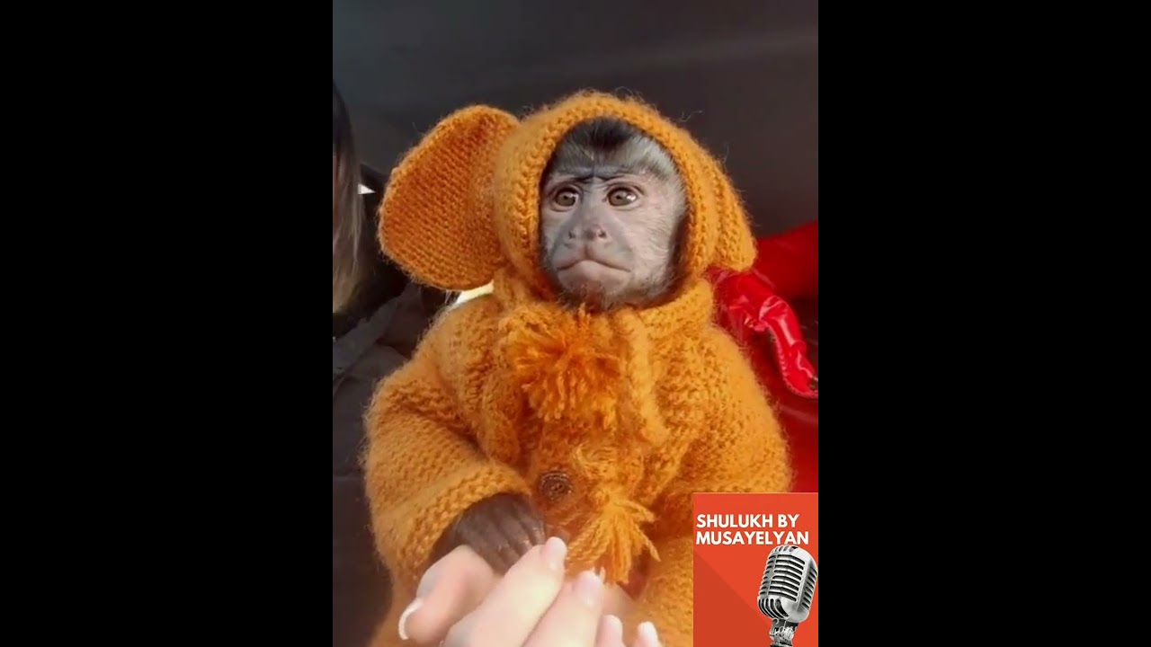 Փնթռոշ